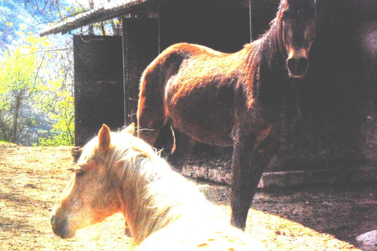 Asso Cascina Del Soleヴィラ エクステリア 写真