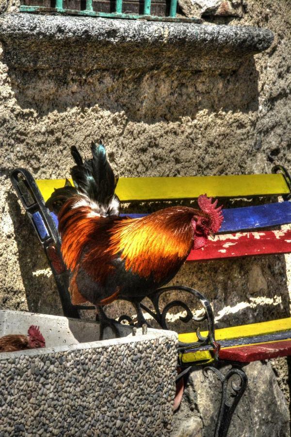 Asso Cascina Del Soleヴィラ エクステリア 写真