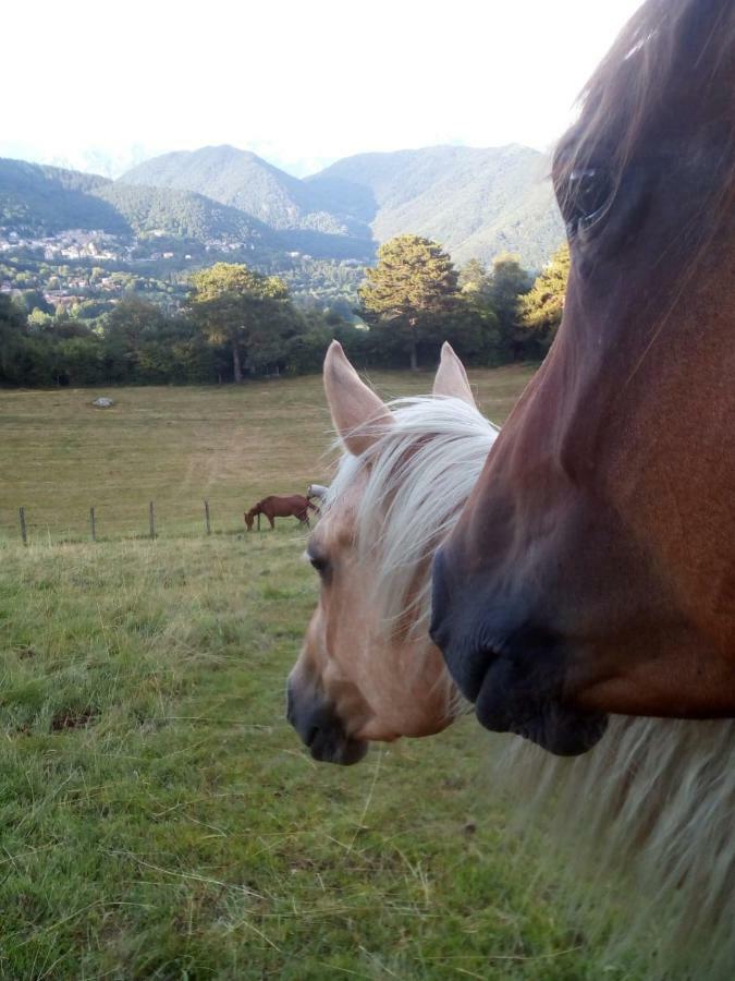 Asso Cascina Del Soleヴィラ エクステリア 写真