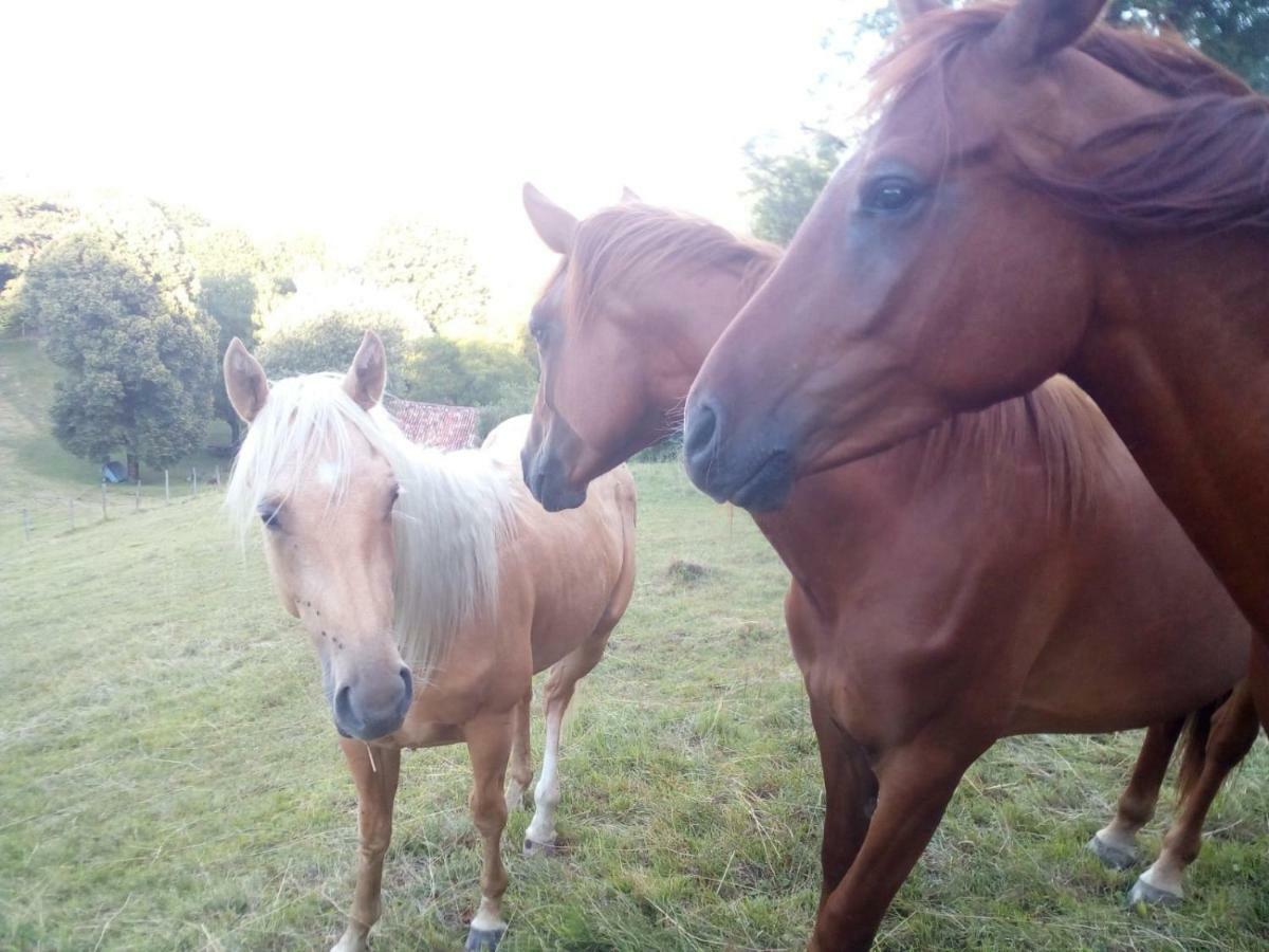 Asso Cascina Del Soleヴィラ エクステリア 写真